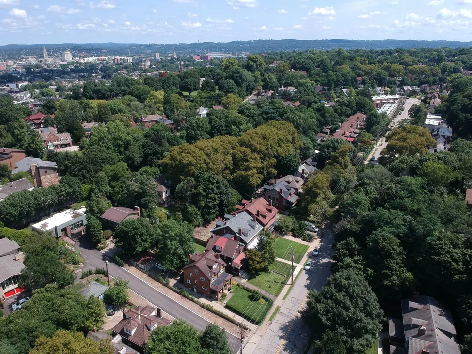 mold removal Nassau Village-Ratliff